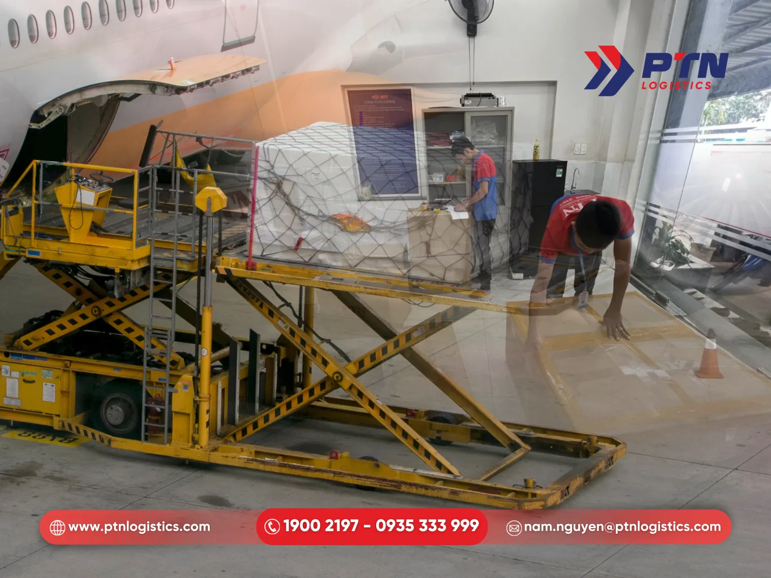 PTN giúp tối ưu quy trình đóng gói