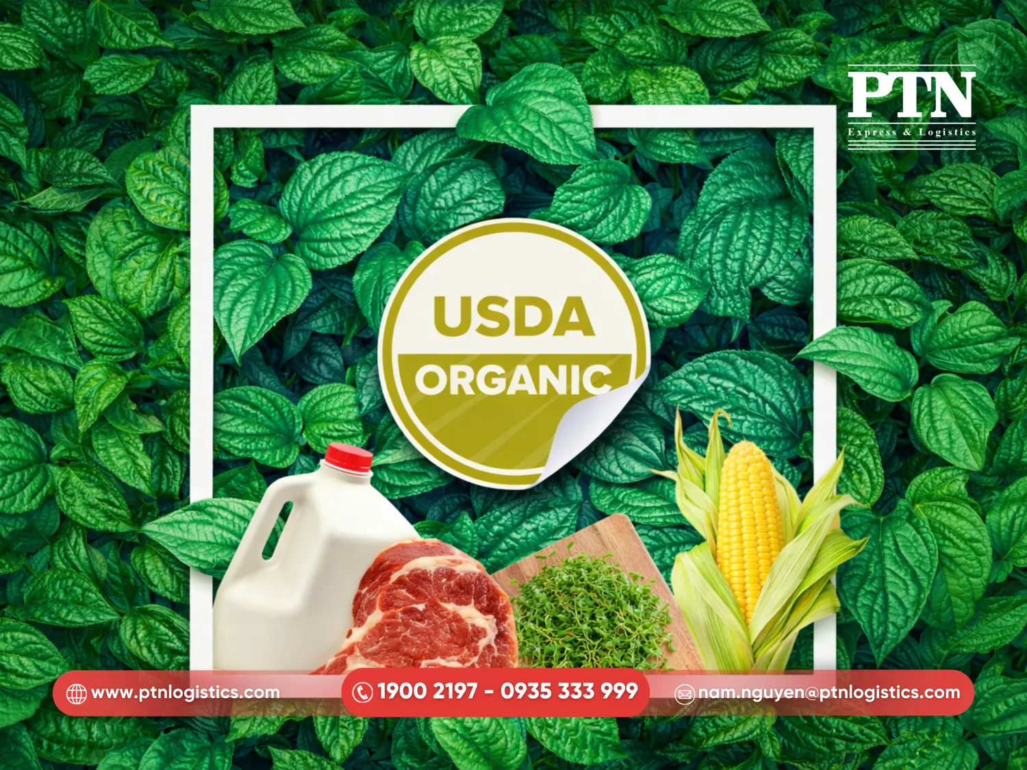 Vai trò của USDA đối với sản phẩm tươi sống