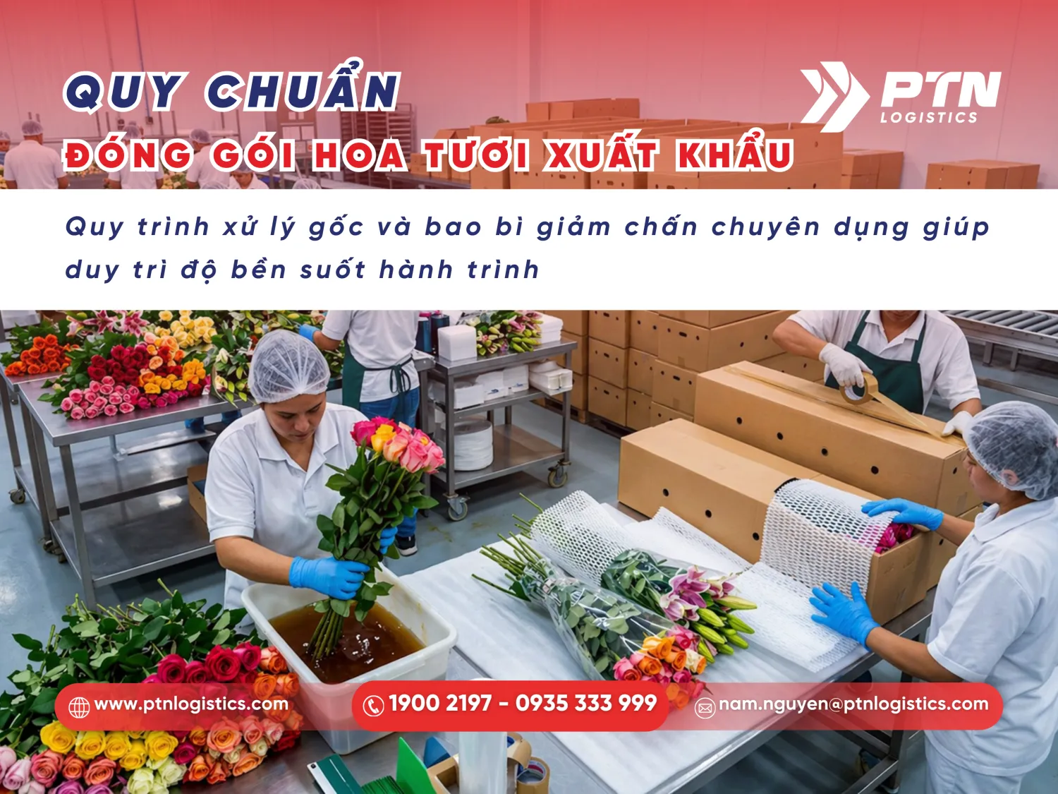Cách đóng gói tiêu chuẩn cho hoa tươi xuất khẩu