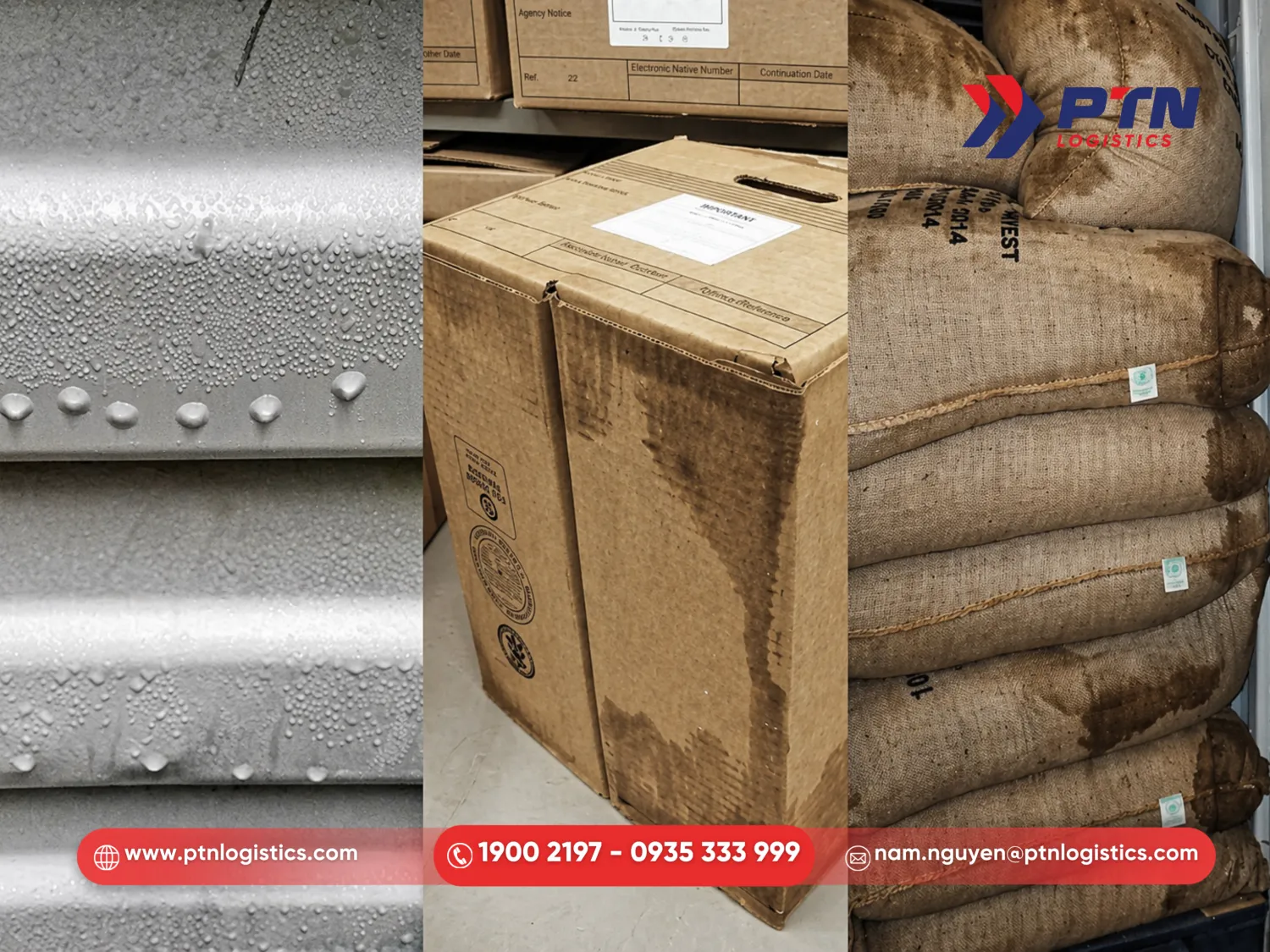 Container ẩm gây hư hỏng hàng