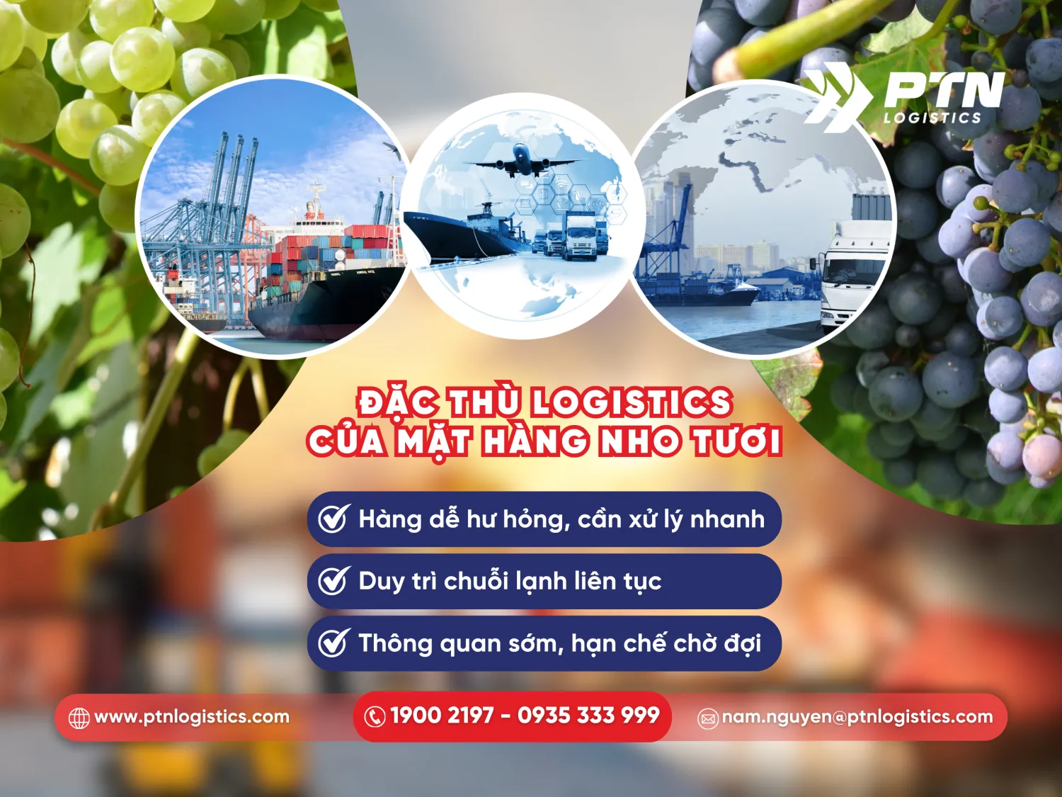 Đặc thù logistics của mặt hàng nho tươi nhập khẩu