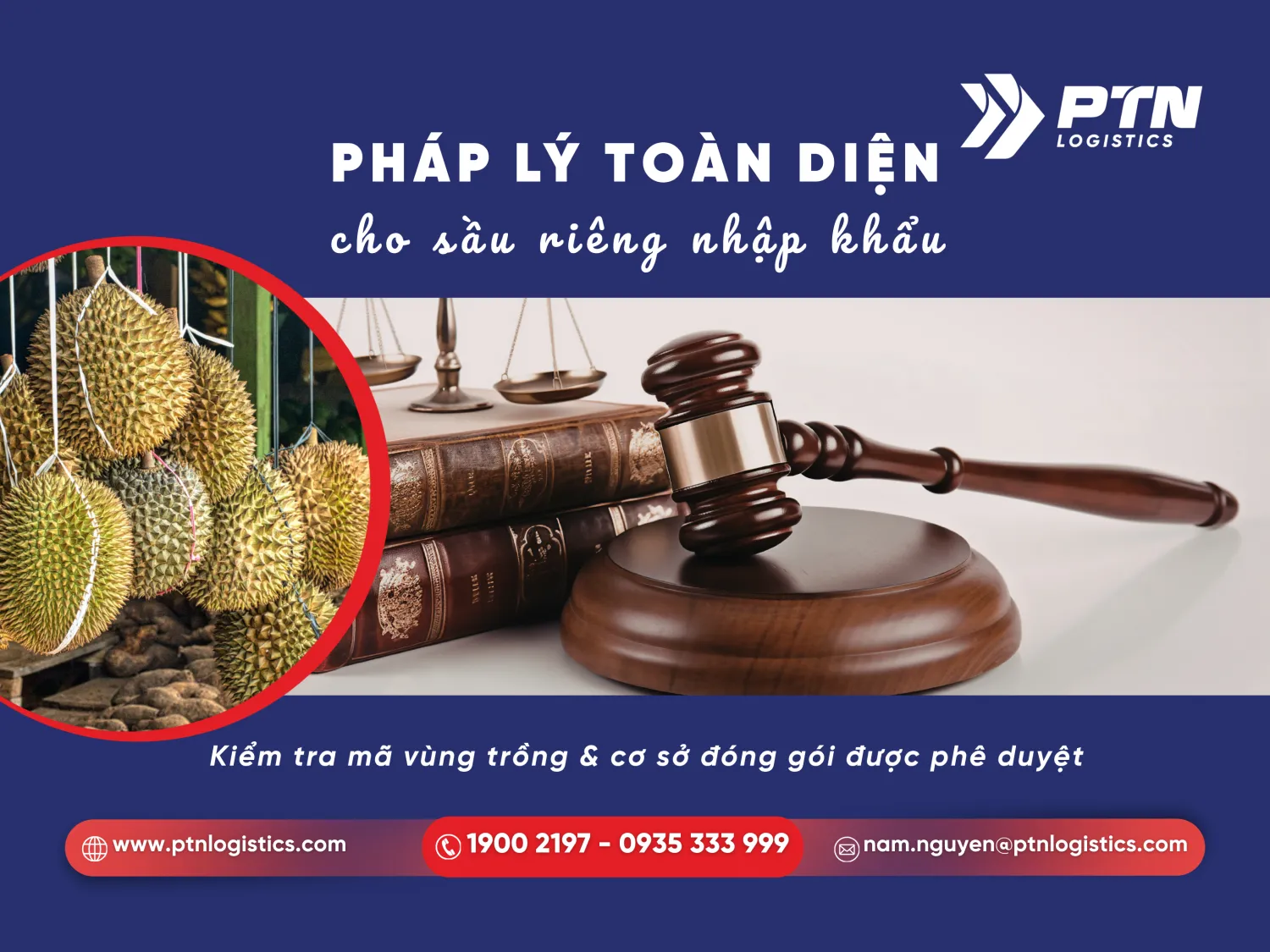 Điều kiện pháp lý để nhập trái câu tươi Trung Quốc