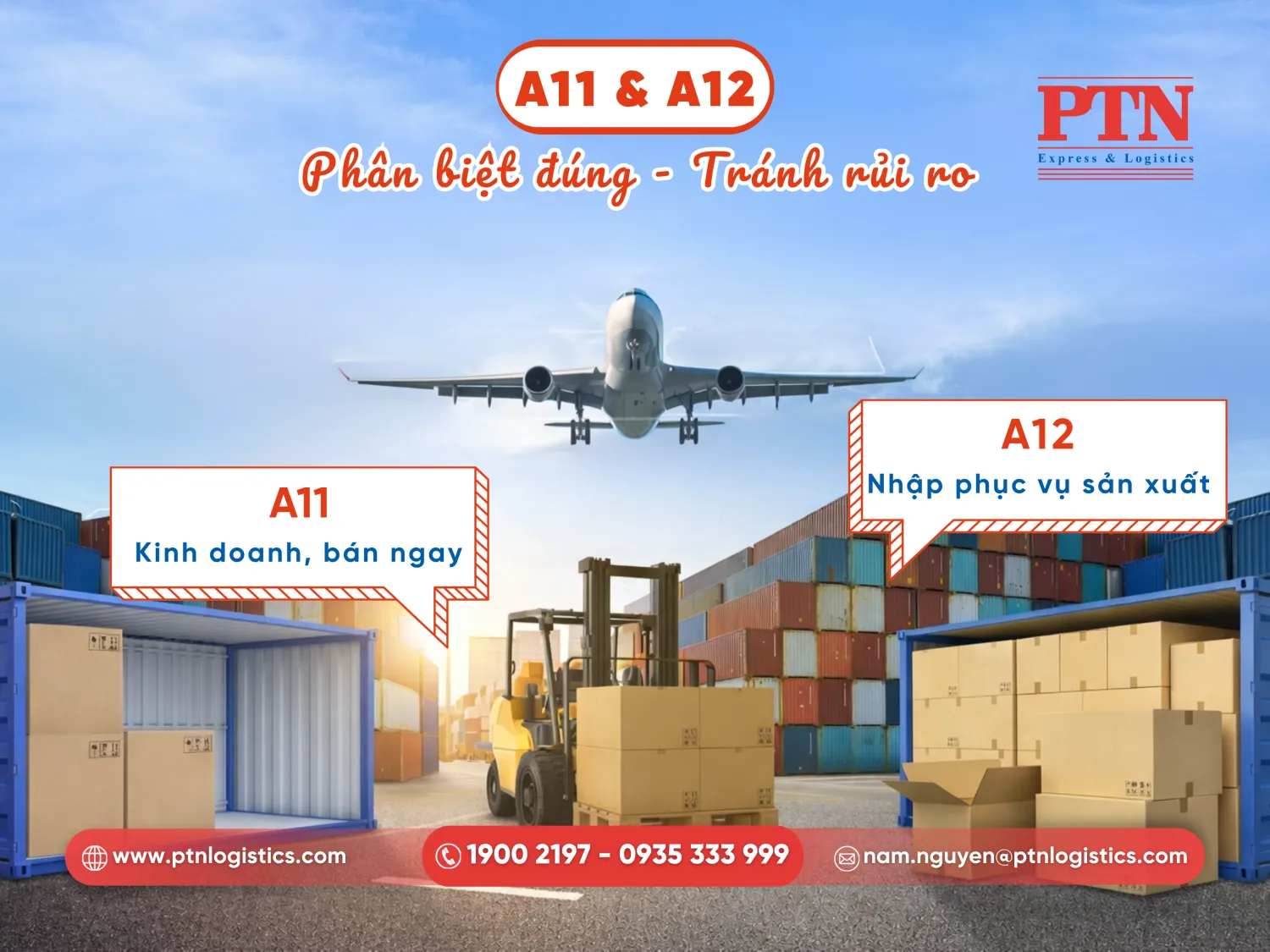 Mã loại hình A11 và A12