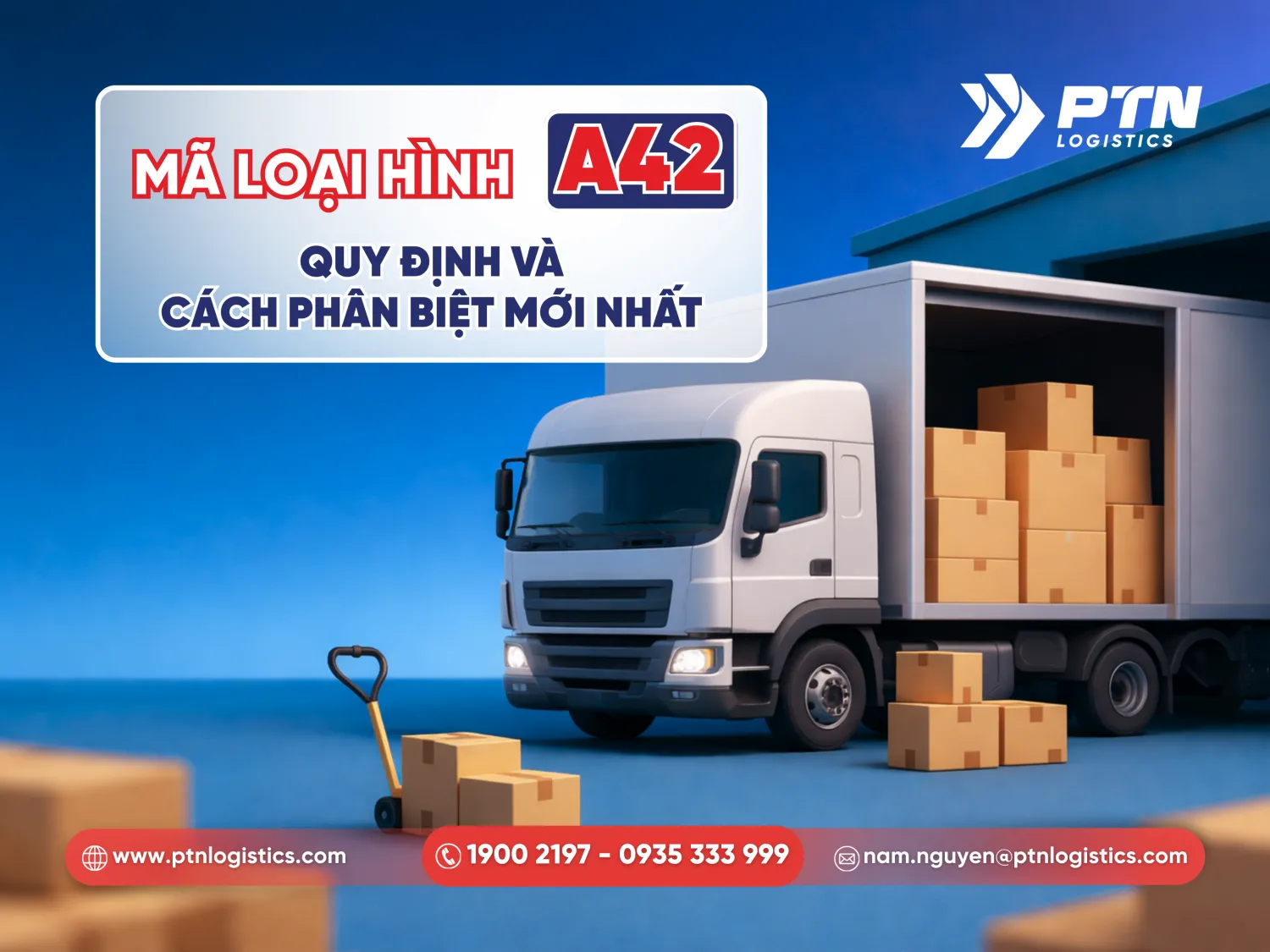 Mã loại hình A42 quy định và cách phân biệt mới nhất