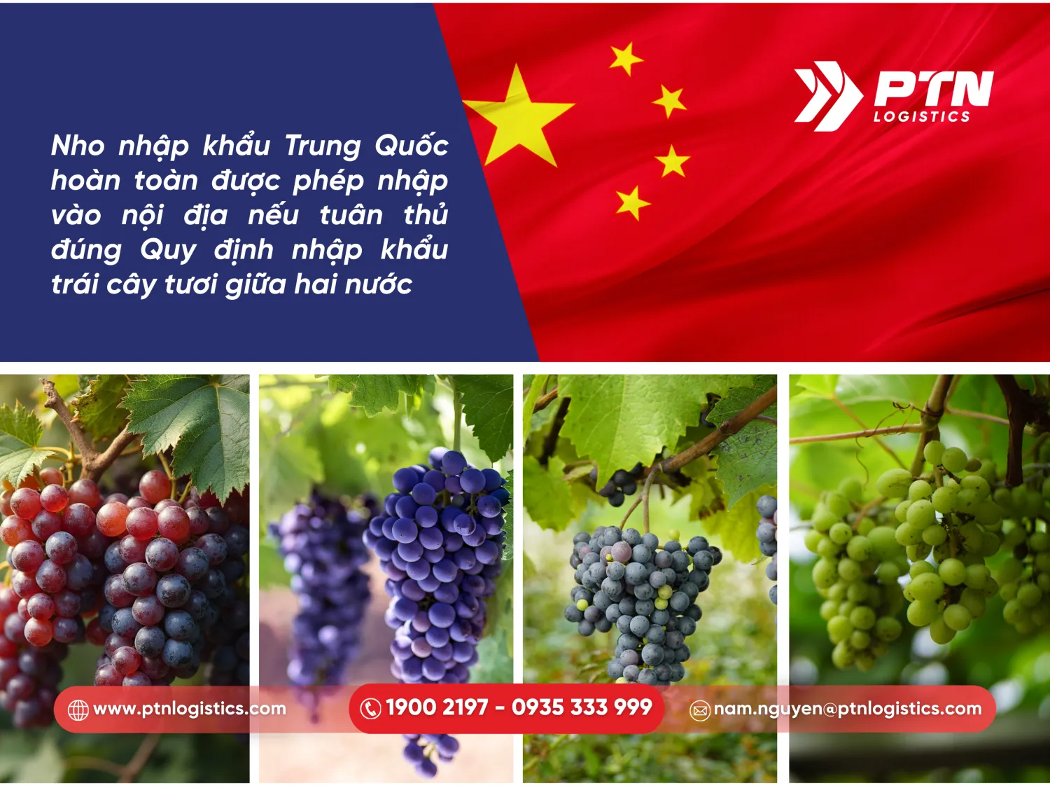 Nho nhập khẩu Trung Quốc hoàn toàn được phép nhập khẩu vào Việt Nam