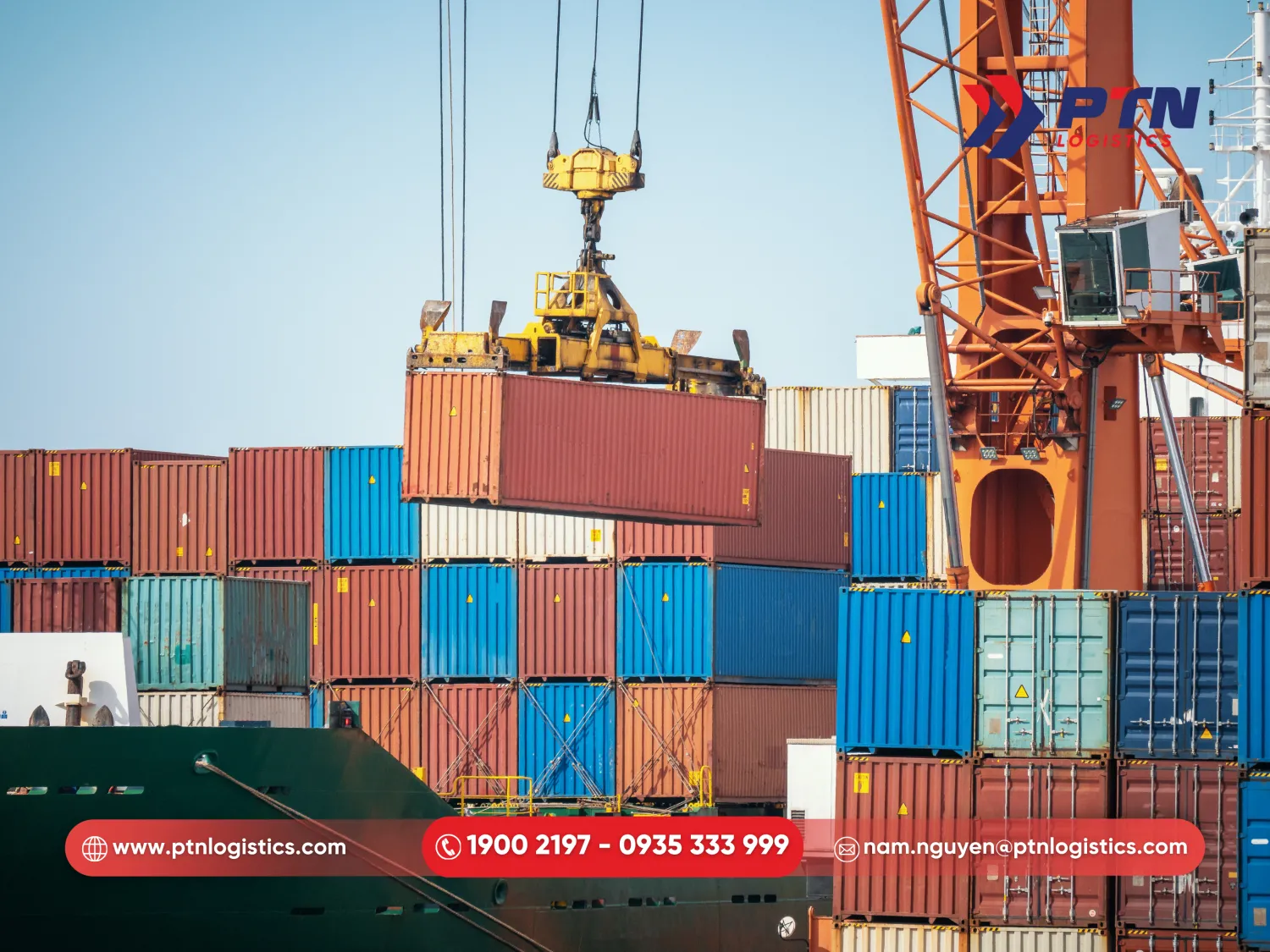 Những mặt hàng có thể nhập khẩu về Việt Nam