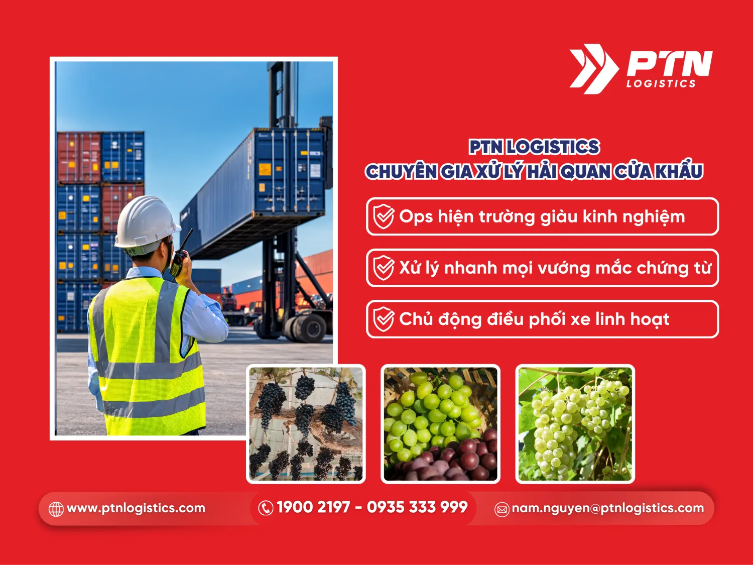 PTN Logistics chuyên gia xử lý hải quan cửa khẩu