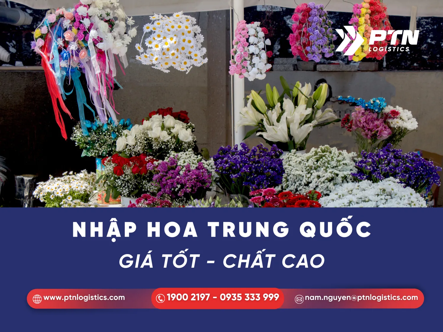 Tiềm năng kinh doanh hoa Trung Quốc nhập khẩu hiện nay