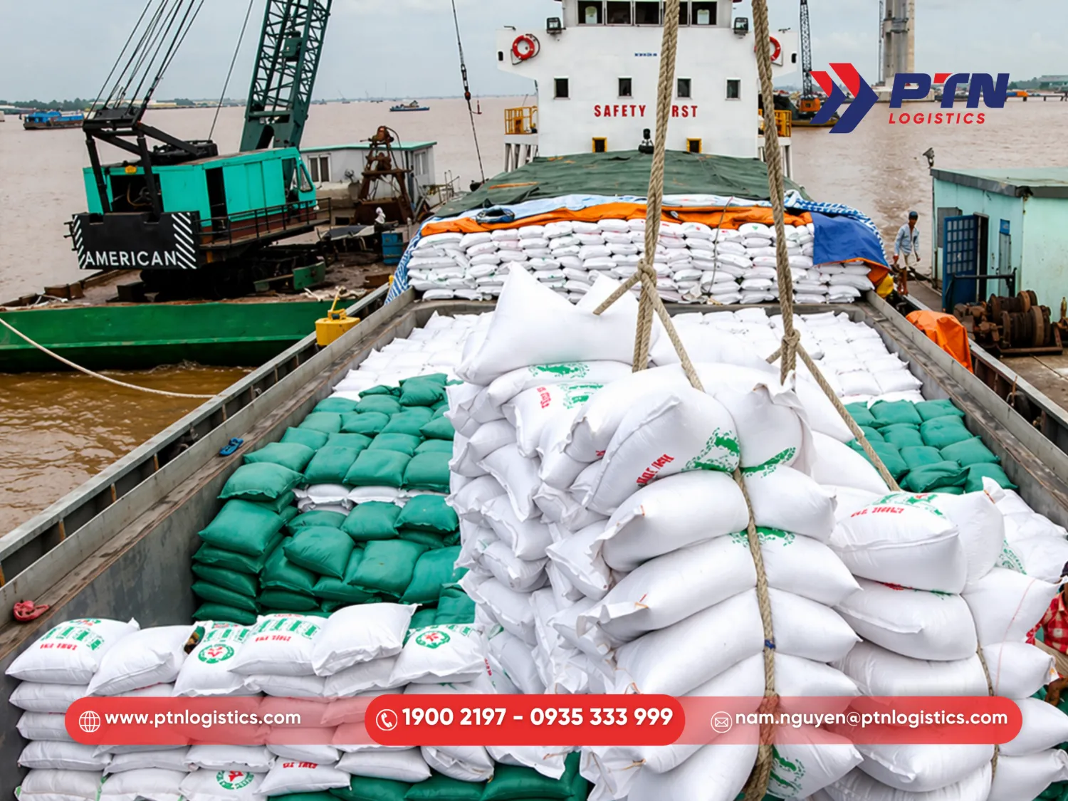 Tổng quan về ngành xuất nhập khẩu gạo Sài Gòn