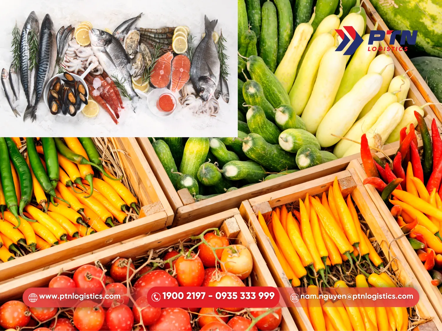 Xuất nhập khẩu nông thủy sản tại Hải Phòng