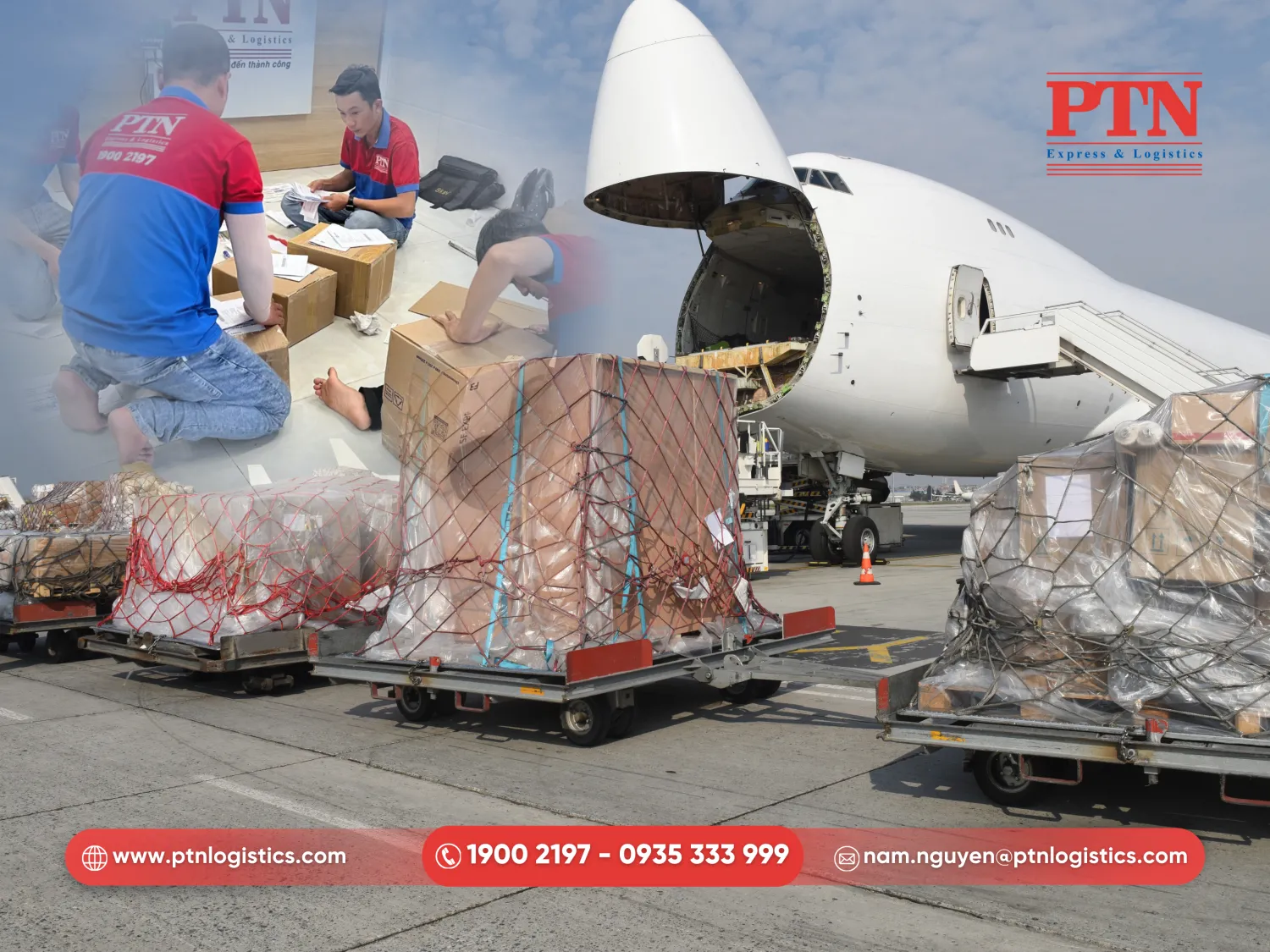 Đội ngũ nhận sự chuyên môn cao đóng gói chuẩn