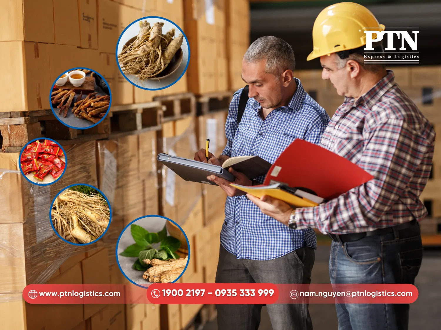 Mở tờ khai và lấy mẫu sâm kiểm tra thực tế tại cảng