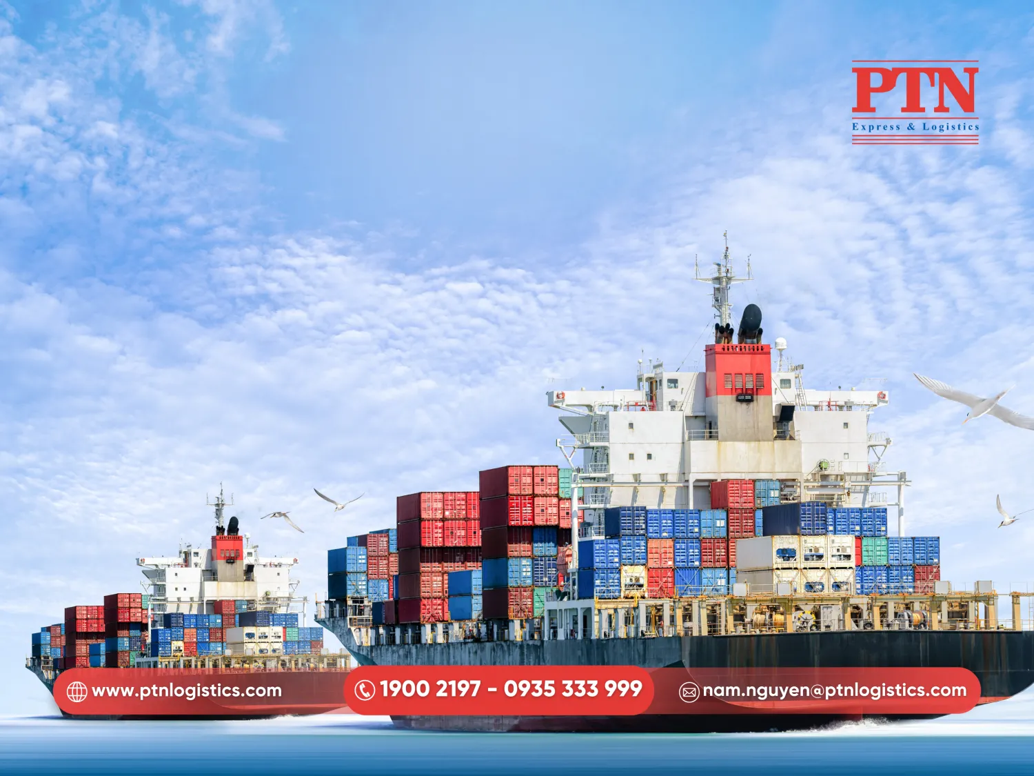 Nhập khẩu sâm bằng đường biển