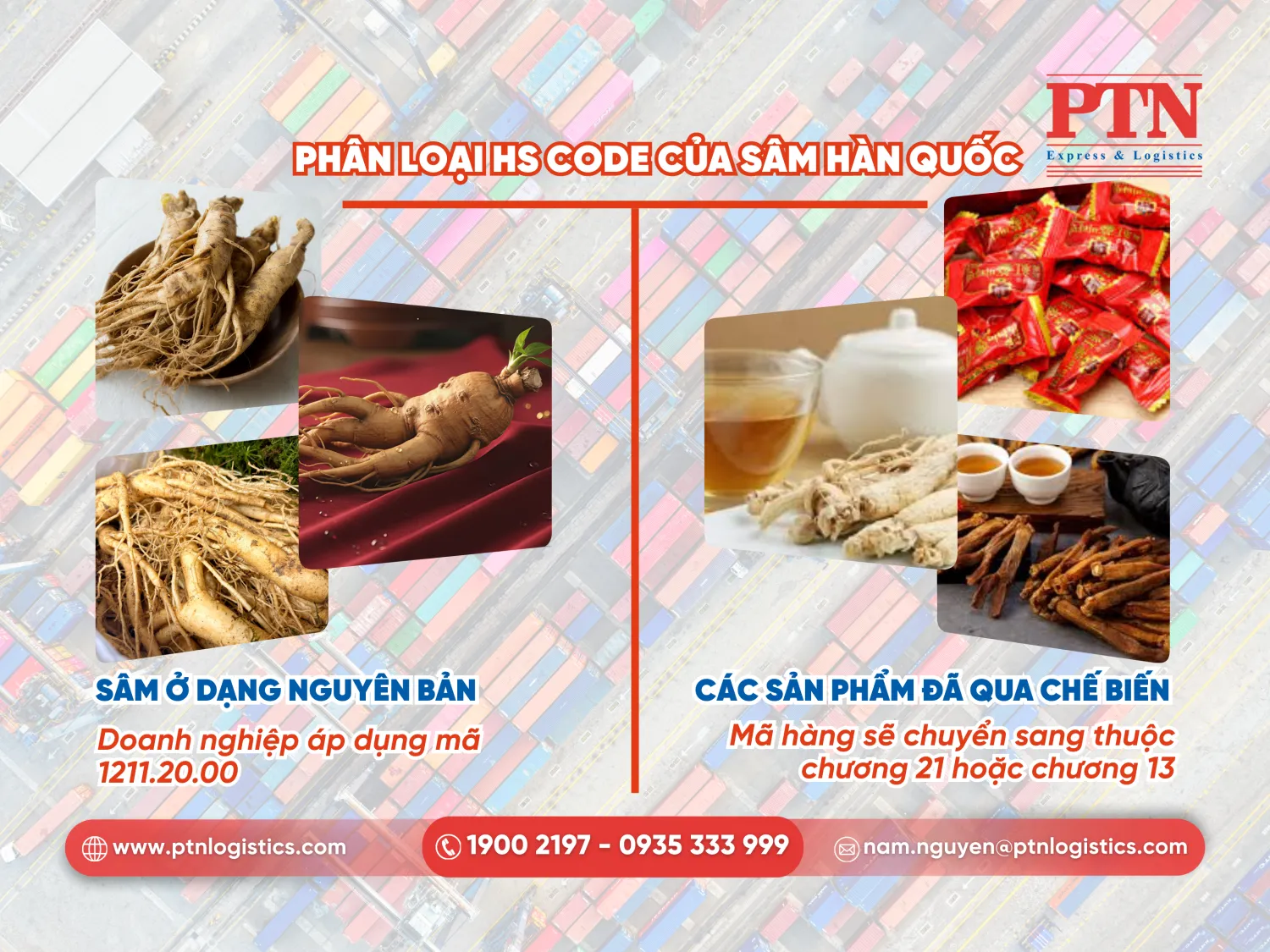 Phân loại HS Code của sâm Hàn Quốc