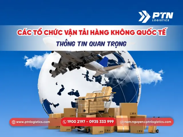 Các tổ chức vận tải hàng không quốc tế: Thông tin quan trọng