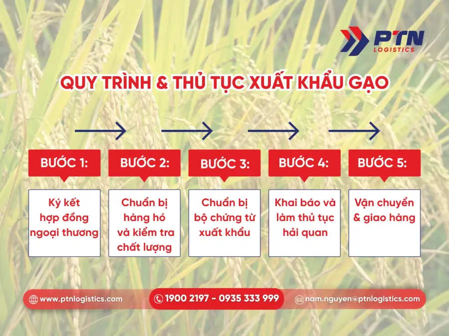 Quy trình và thủ tục xuất khẩu gạo chi tiết