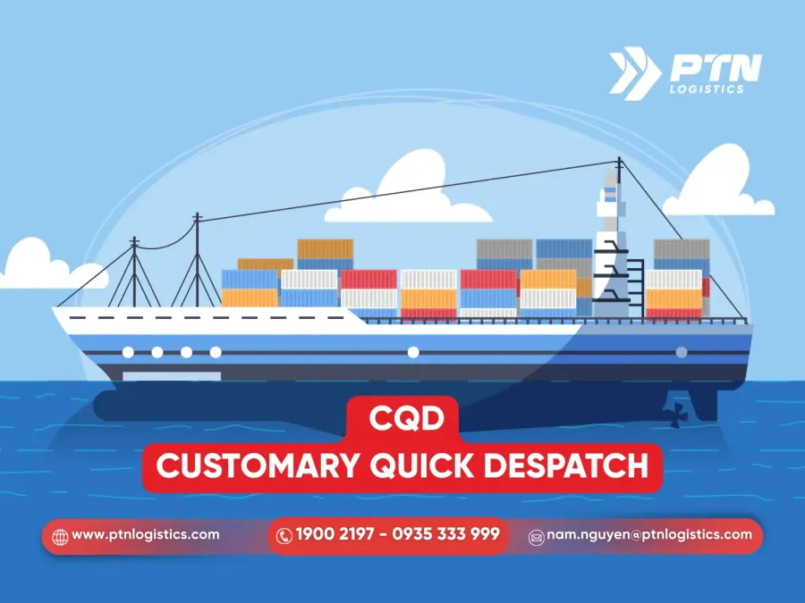 Điều khoản CQD như thế nào?