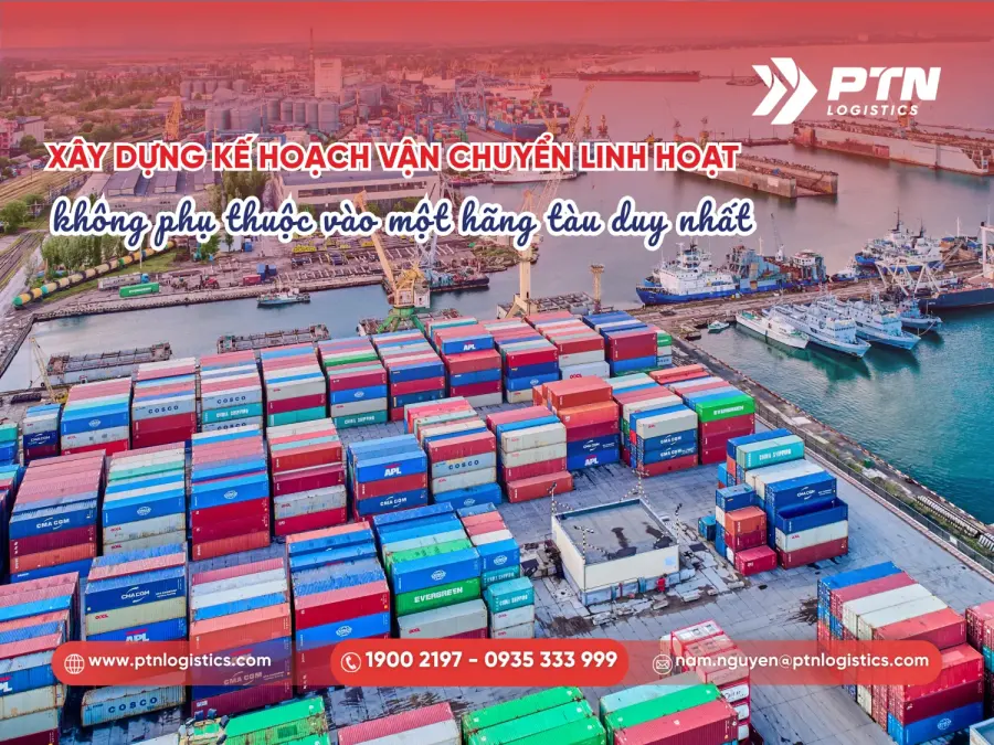 Xây dựng kế hoạch vận chuyển linh hoạt, không phụ thuộc vào một hãng tàu duy nhất