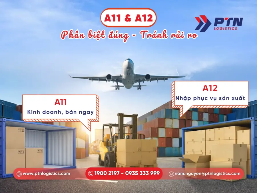 Tìm hiểu mã loại hình A11 VÀ a12