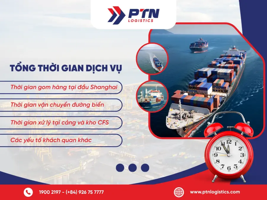 Thời gian vận chuyển sea LCL từ Shanghai về Việt Nam